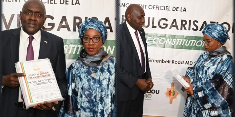 Washington Vulgarisation de la nouvelle constitution. Pourquoi les guineens rejette cette propagande? 