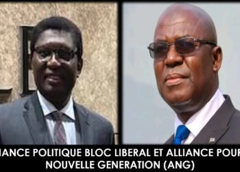 Tribune : Quand deux forces s’unissent pour la Guinée!