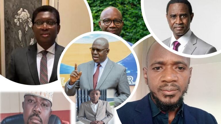 DECLARATION DE L’ALLIANCE STRATÉGIQUE POUR SAUVER LA GUINÉE (ASG) ET DE L’ALLIANCE DES PARTIS ALLIÉS –FAYA! PRÉSIDENT (APAFP)