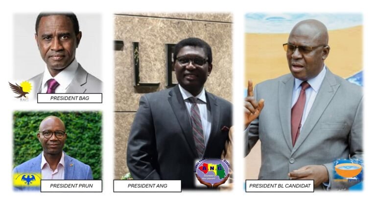 DÉCLARATION CONJOINTE: Alliance Stratégique Sauvons la Guinée (ASG) / Alliance des Partis Alliés – Faya Président (APFP)