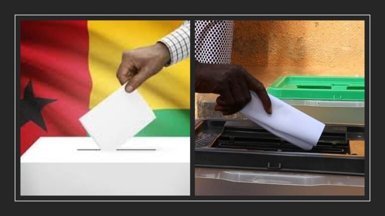 Grand débat du samedi présidentiel du 28 Décembre : La Diaspora Guinéenne Déclare la Guerre au Pouvoir et Appelle à Voter Massivement pour l’Opposition ! (Vidéo) 