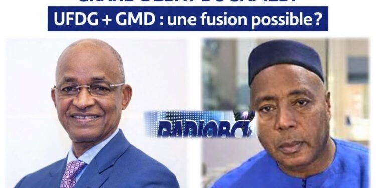 Grand débat du samedi : Fusion de l’UFDG dans la GMD, une hypothèse réaliste ou une manœuvre politique ?  (Video)