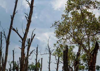 Changements climatiques : une urgence mondiale toujours plus pressante! 