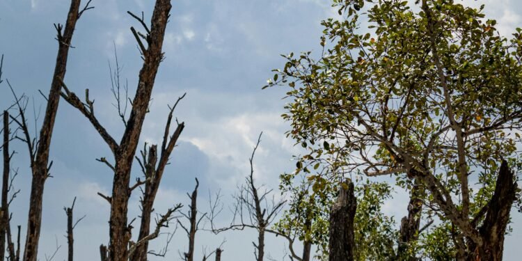 Changements climatiques : une urgence mondiale toujours plus pressante! 