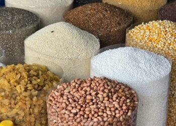 Dépendance alimentaire: une vulnérabilité économies africaines face aux chocs mondiaux. 