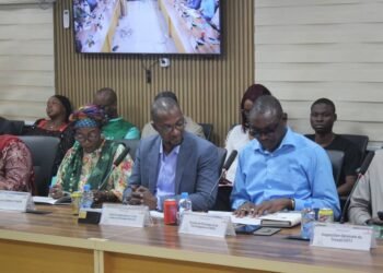 Pourquoi le chômage des jeunes devient un problème croissant en Guinée?