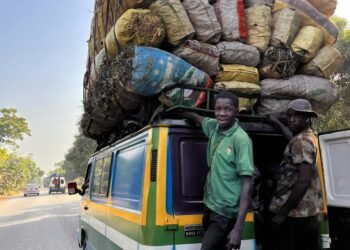 Guinée: Le rôle de la police de proximité dans la réduction de la criminalité. 